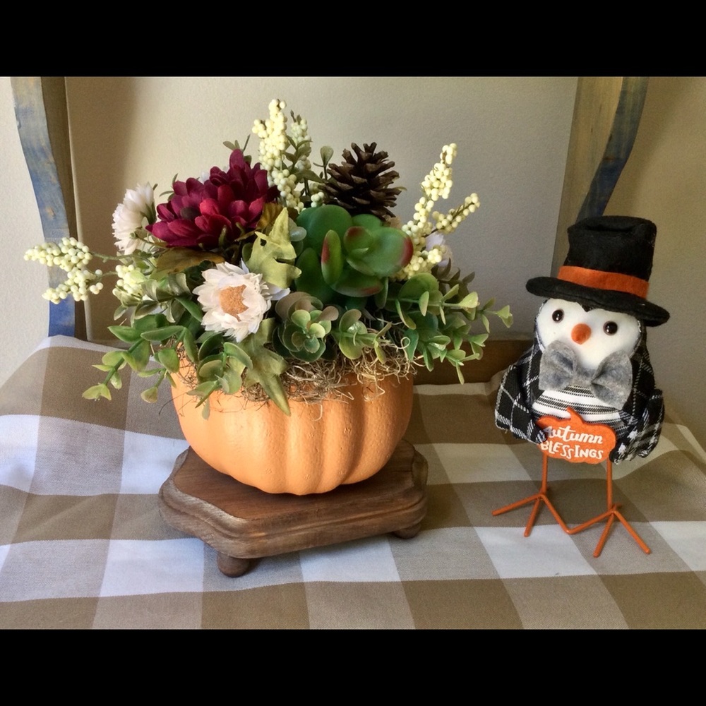 Fall Thanksgiving Pumpkin Succulent Arrangement